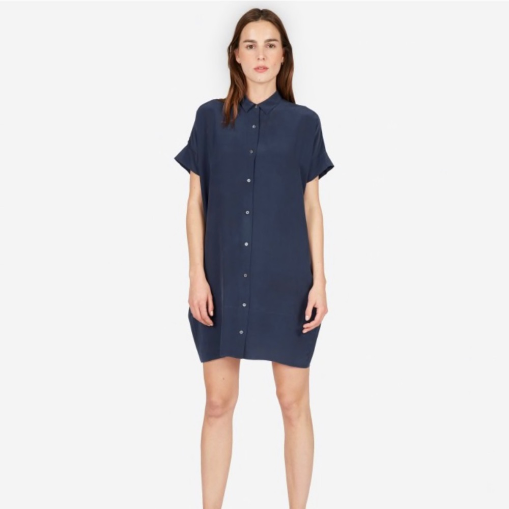 Everlane Silk Square Shirt Dress